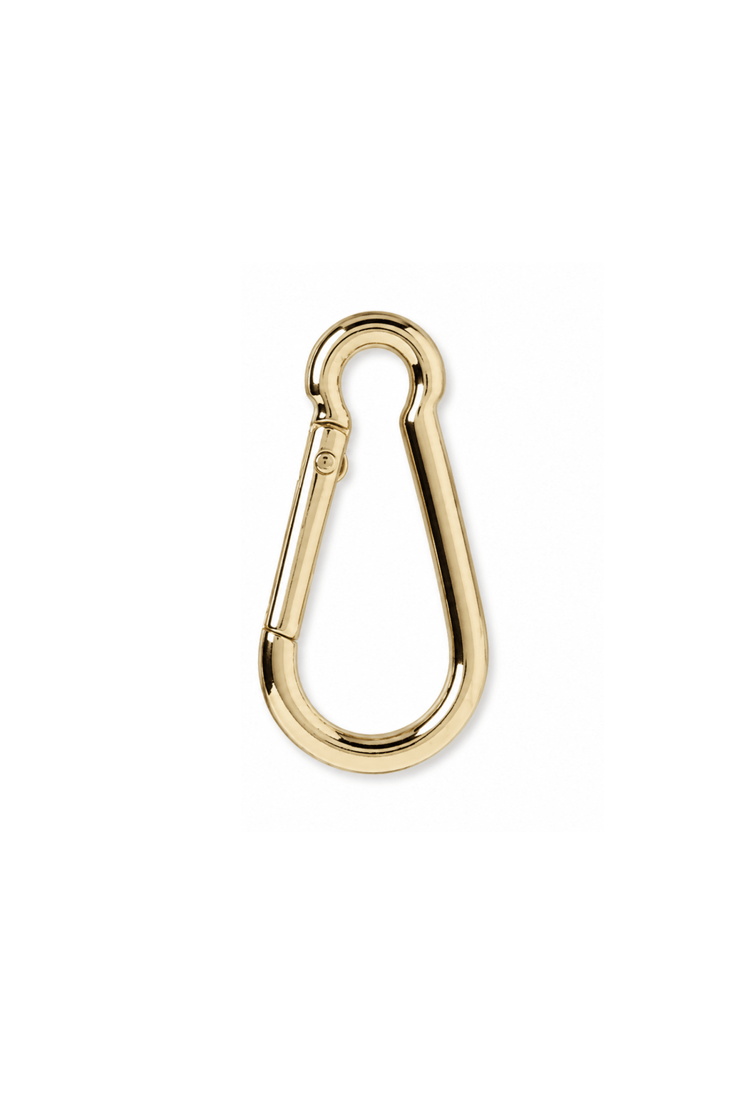 Gold Carabiner Clip - fitFridge