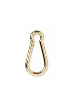Gold Carabiner Clip - fitFridge
