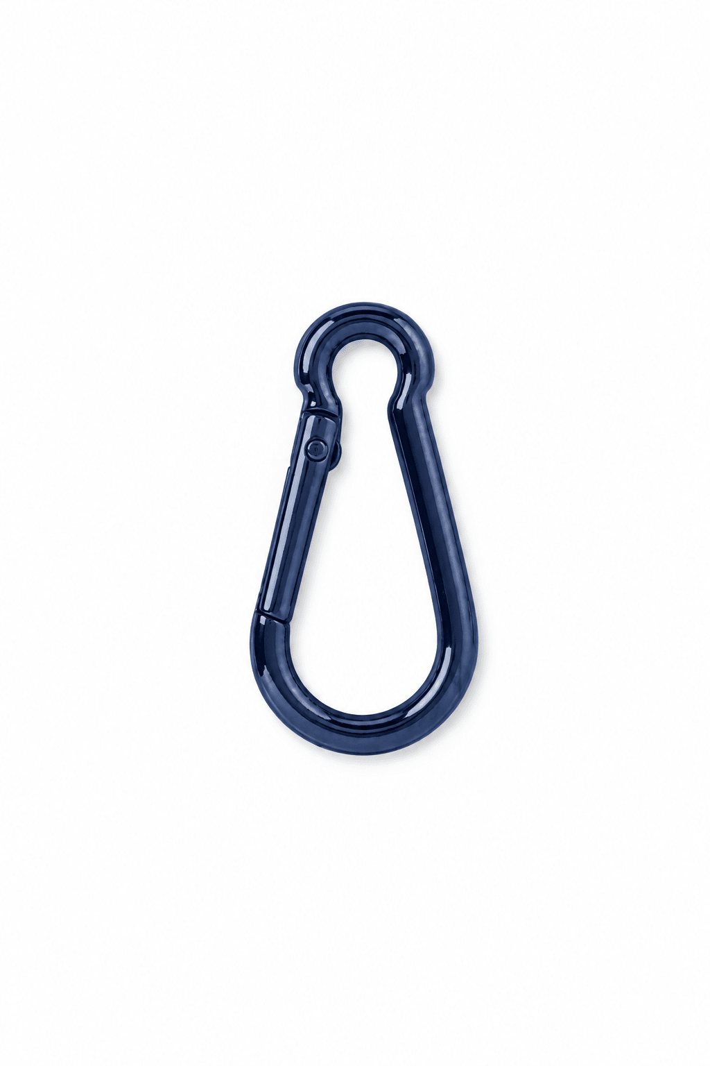 Indigo Carabiner Clip - fitFridge